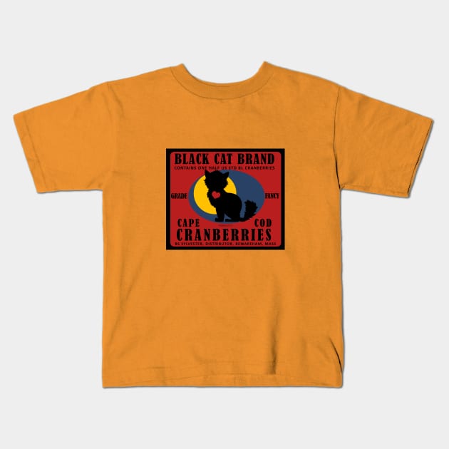 Black Cat Cranberries Kids T-Shirt by FunkilyMade